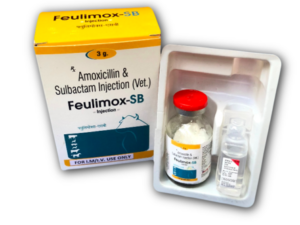 amoxicillin injection